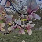 O Aconchego Raizes Hétvégi ház