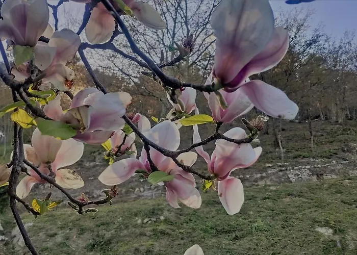 O Aconchego Raizes 컨트리하우스