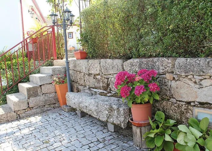 O Aconchego Raizes 바이아오